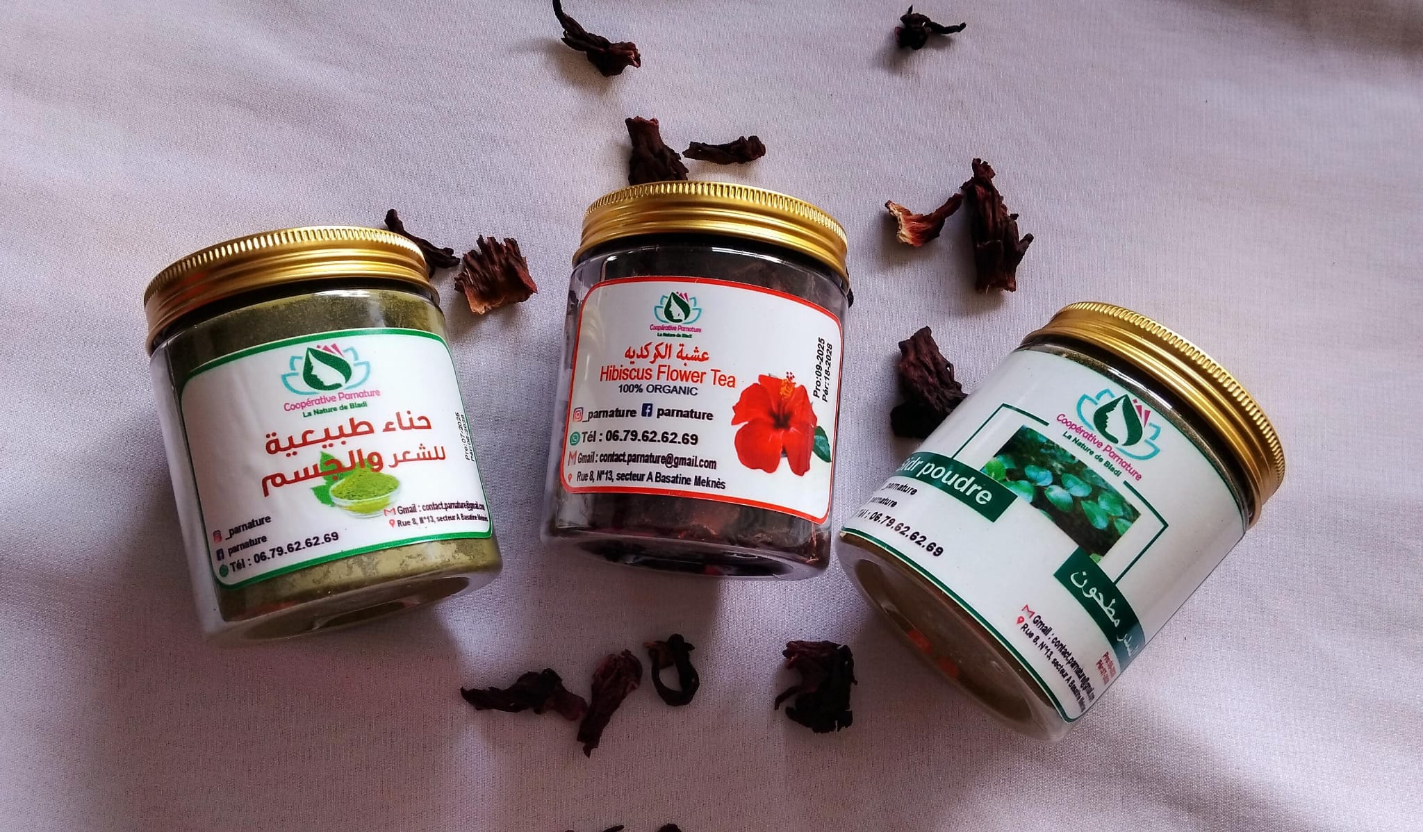 Lote de plantas capilares