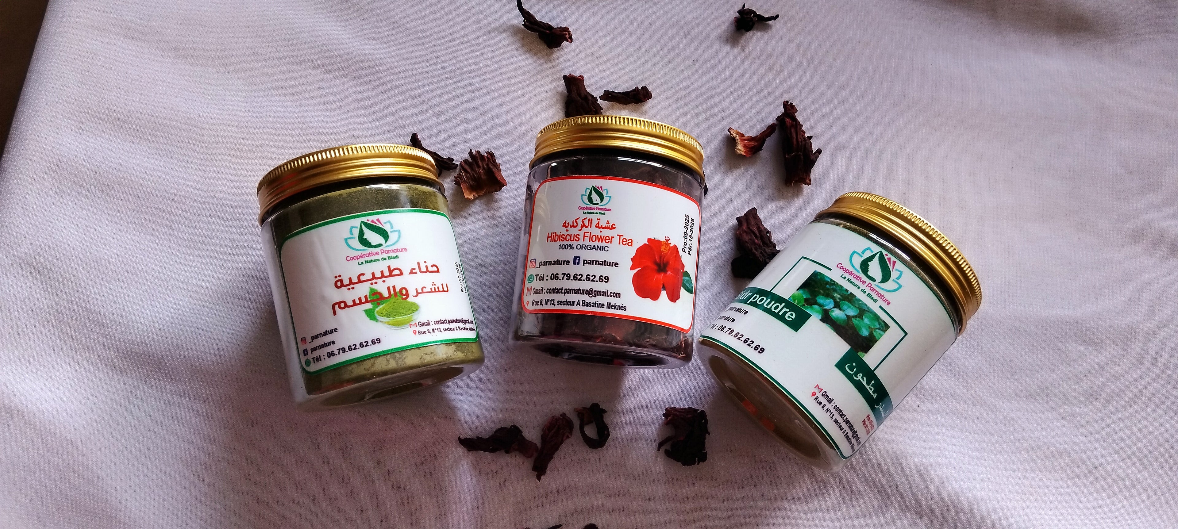 Lote de plantas capilares